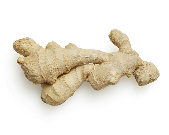 Stomach care: fresh ginger root on a white background