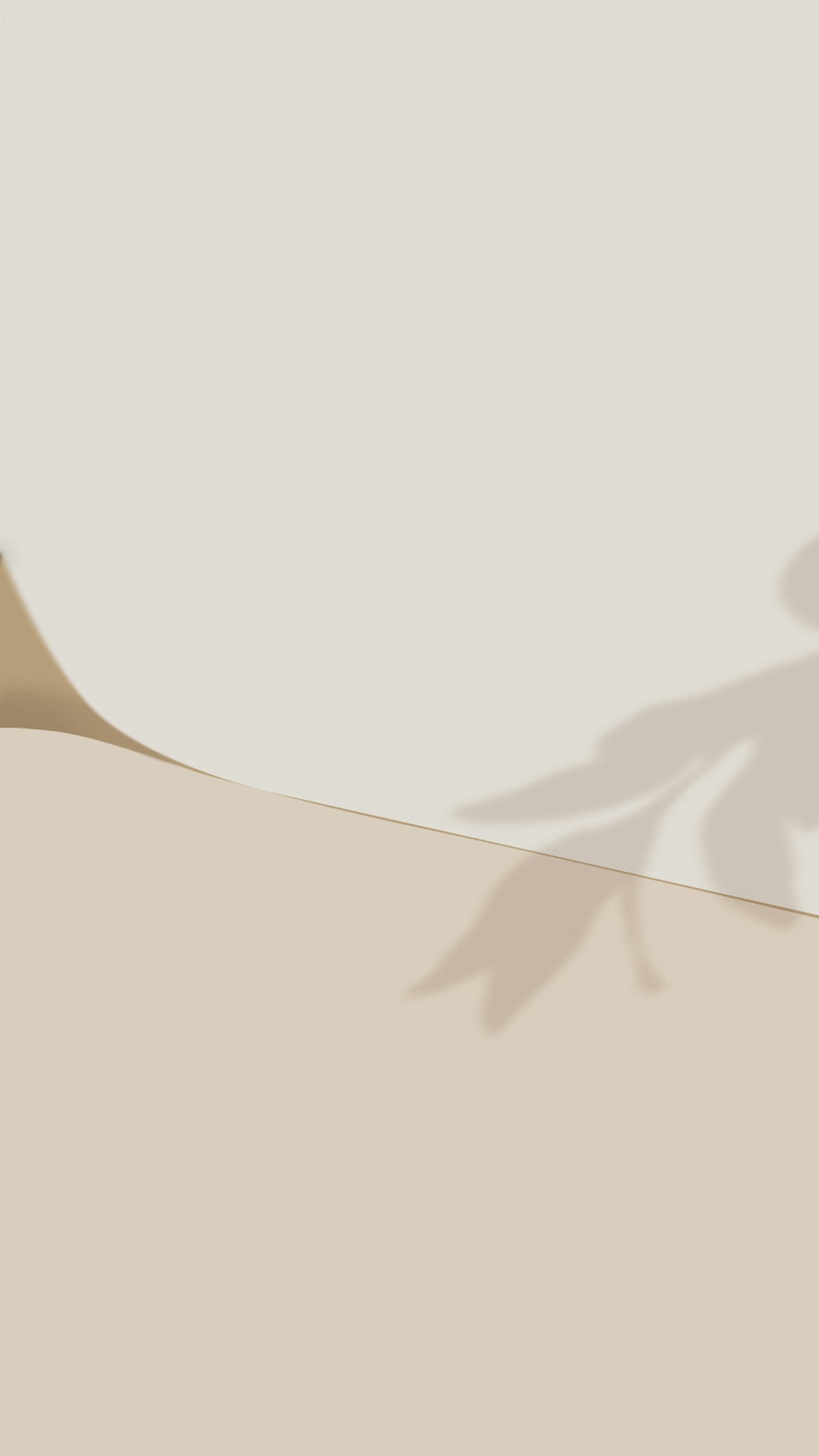 GA hero minimal: leaf shadow on a soft beige wall